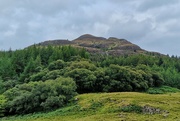 16th Aug 2024 - hill and trees