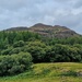 hill and trees by christophercox