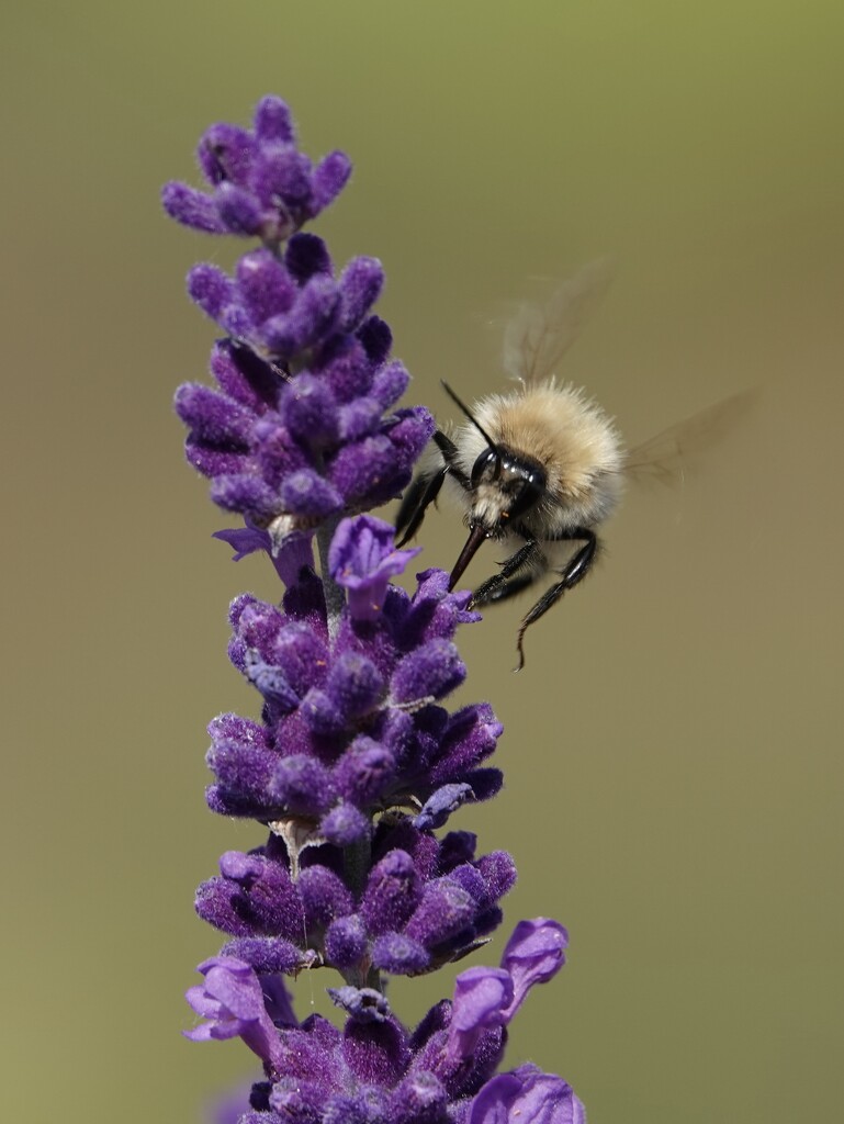 Prepare For Landing by phil_sandford