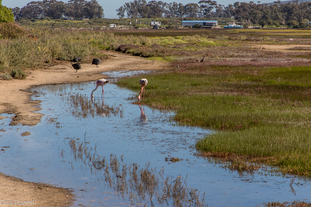 Almost High Tide by seacreature