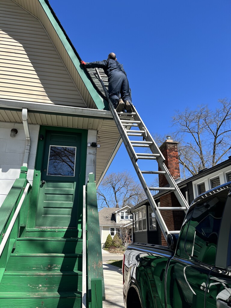 roof patching  by annymalla