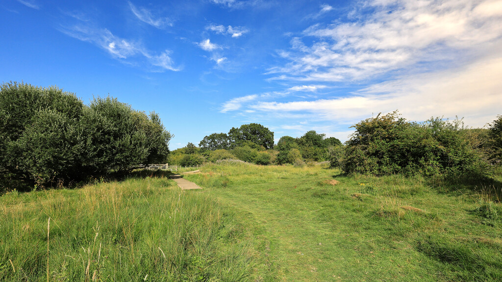 Oughtonhead Nature Reserve by neil_ge