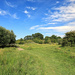 Oughtonhead Nature Reserve by neil_ge