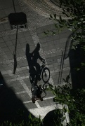 16th Aug 2024 - Shadows on the Move