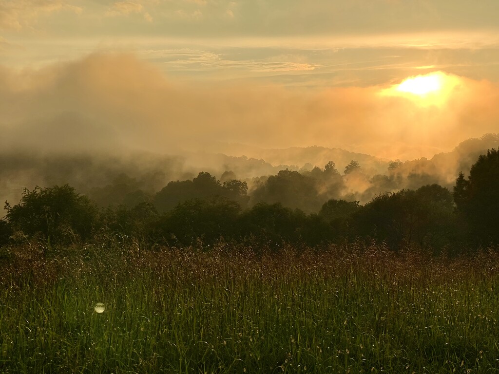 Sunset Haze by calm