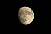 16th Aug 2024 - Moon view