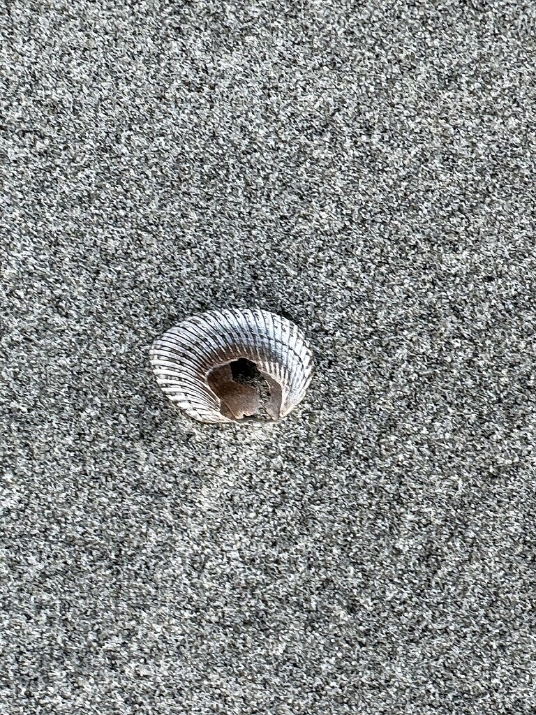 Vortex in the sand by congaree