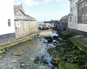 17th Aug 2024 - Newlyn......