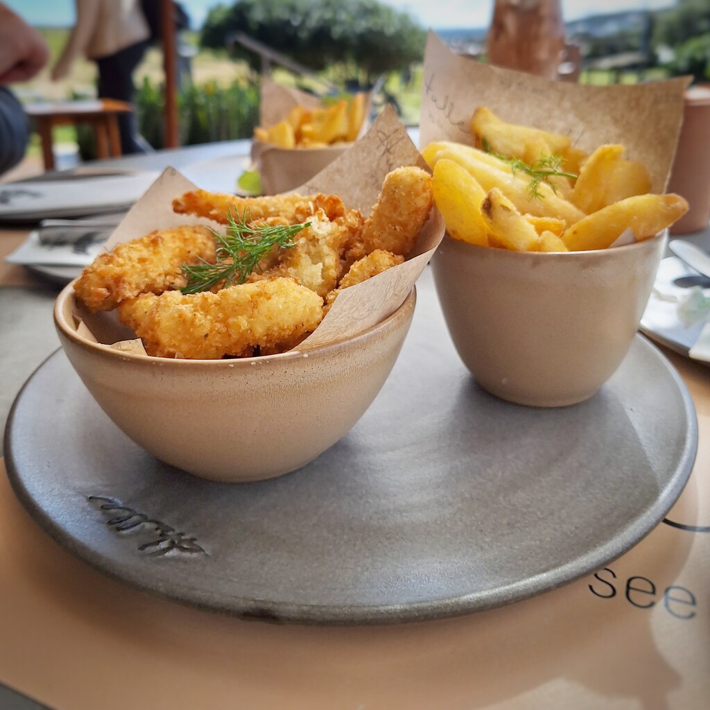 Calamari and Chips by salza