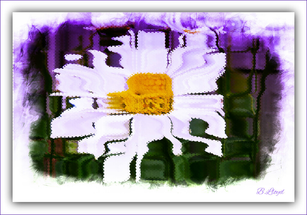 Daisy  Abstract by beryl