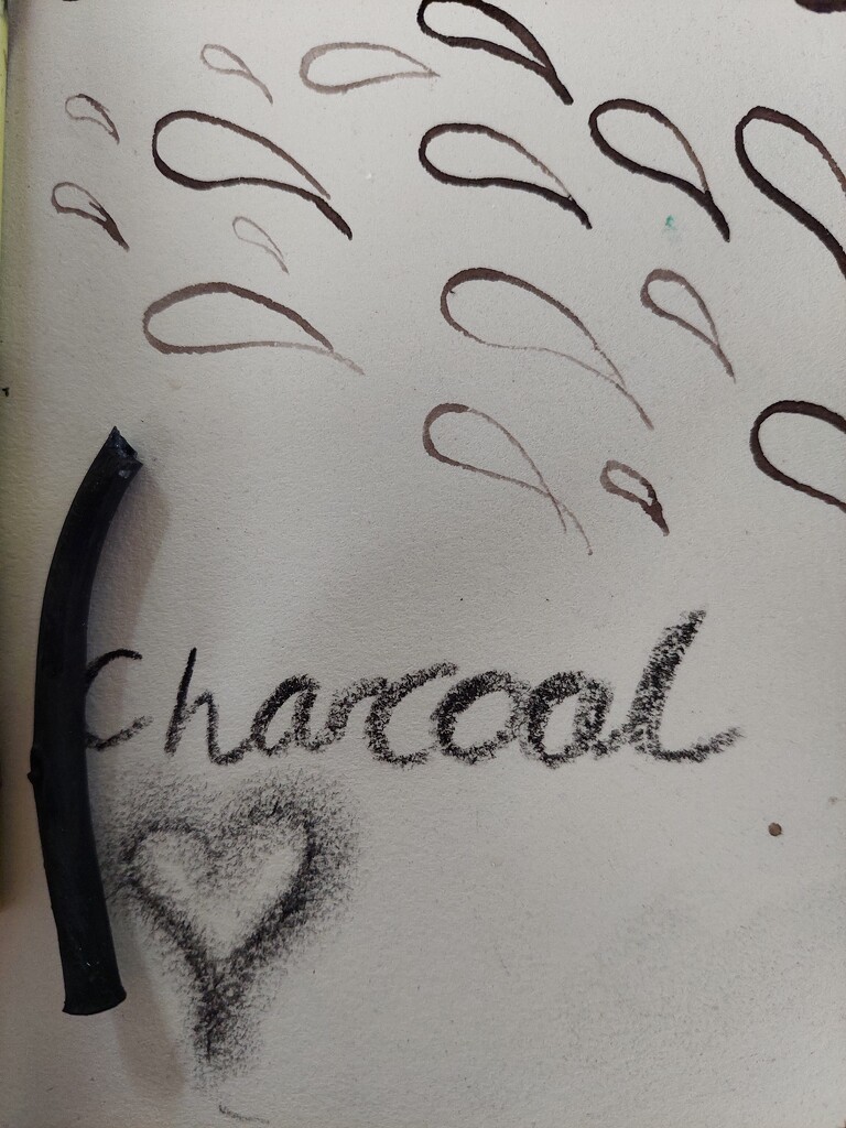 Charcoal  by samcat