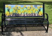 27th Jul 2024 - Memorial bench