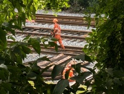 22nd Aug 2024 - I’ve been working on the railroad 