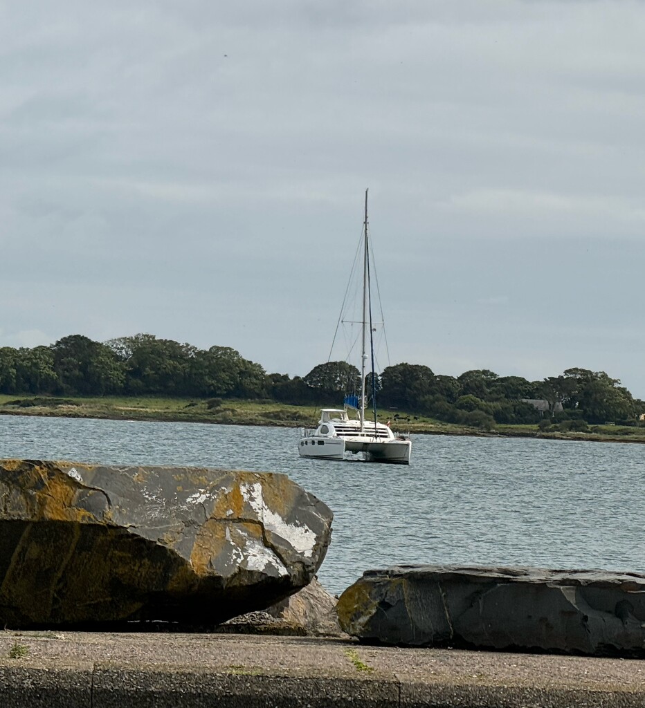 Catamaran in bay by alison59