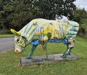 14th Aug 2024 - Colourful cow!