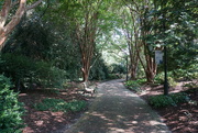 18th Aug 2024 - Woodland Path