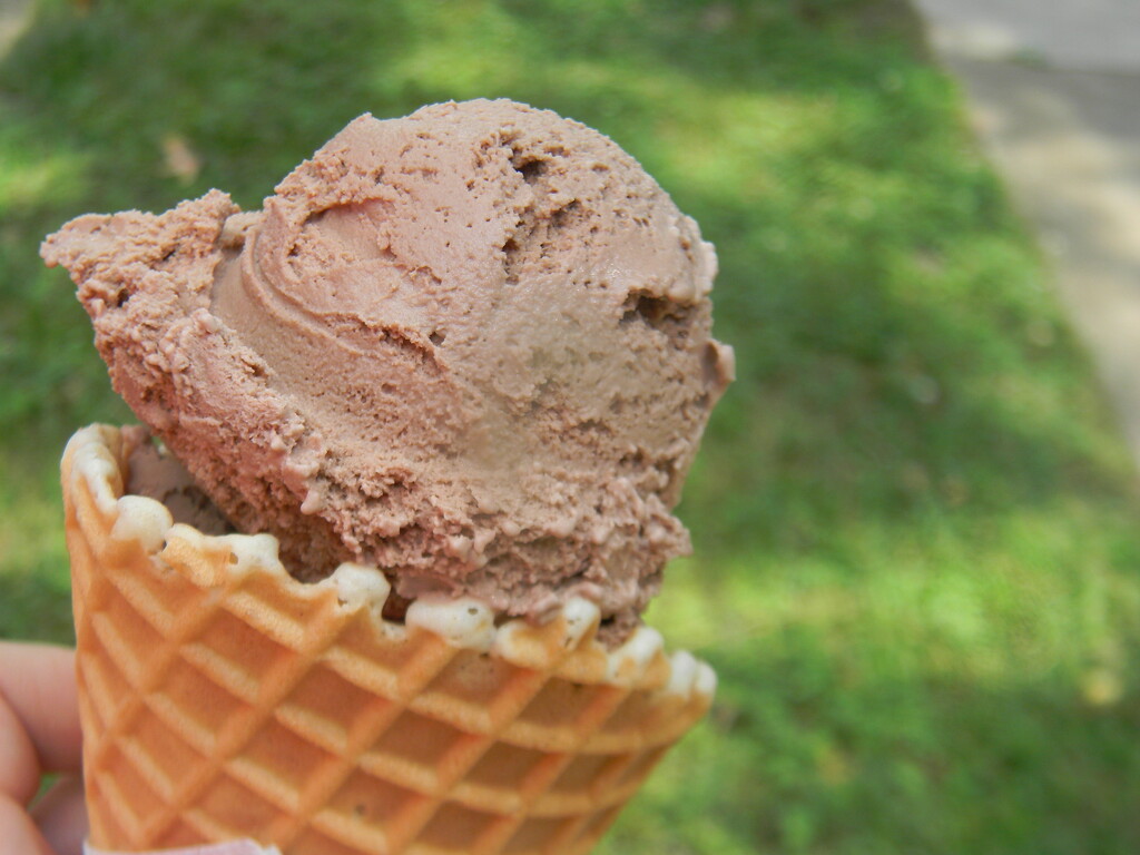 Chocolate Ice Cream Cone by sfeldphotos