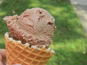 17th Aug 2024 - Chocolate Ice Cream Cone