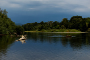 17th Aug 2024 - River Snags