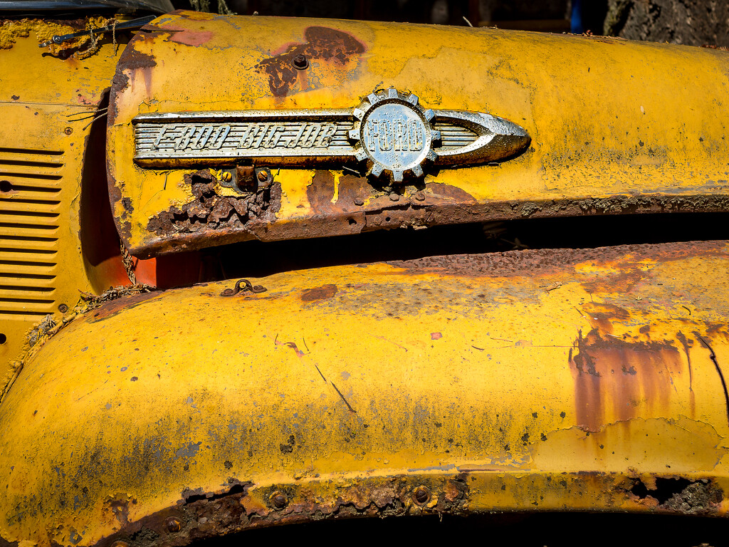 1953 Ford F800 Big Job by cdcook48