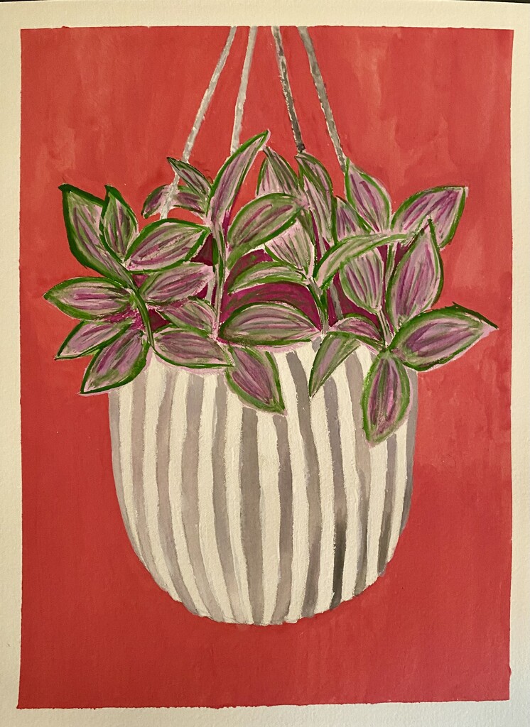 Tradescantia Nanouk gouache painting by mtb24