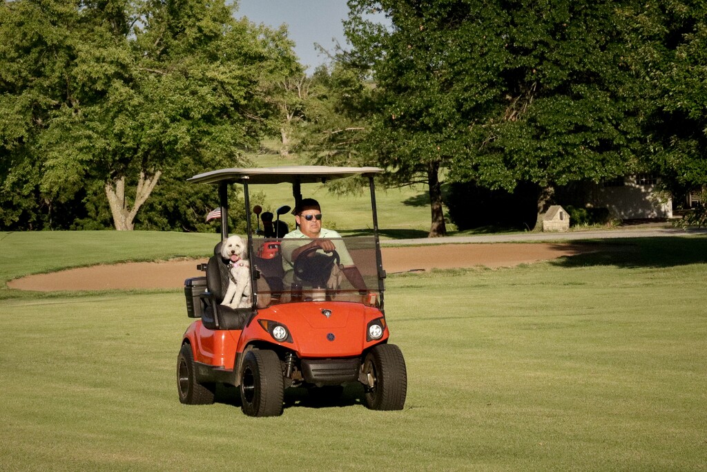 The Old Guy and His Dog by 2022julieg