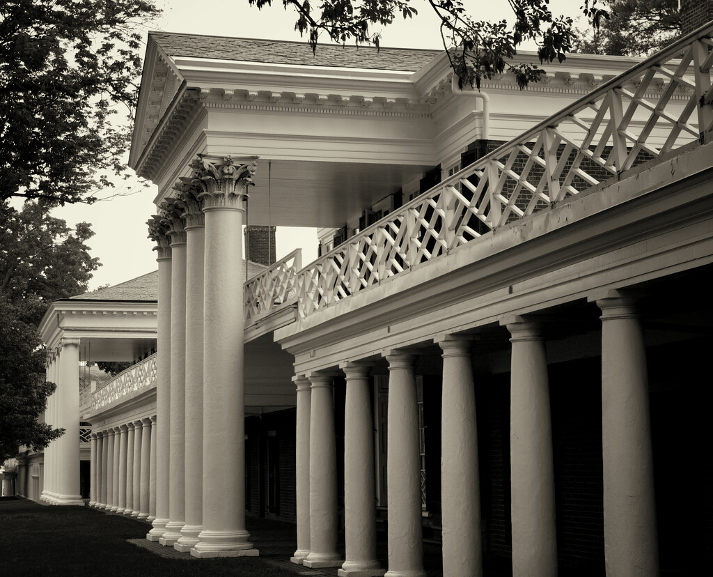 The Lawn, University of Virginia by eudora