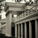 The Lawn, University of Virginia by eudora