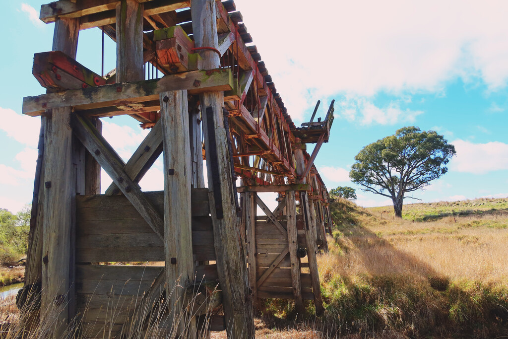 Tarengo railway bridge by leggzy