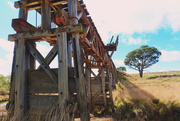 18th Aug 2024 - Tarengo railway bridge