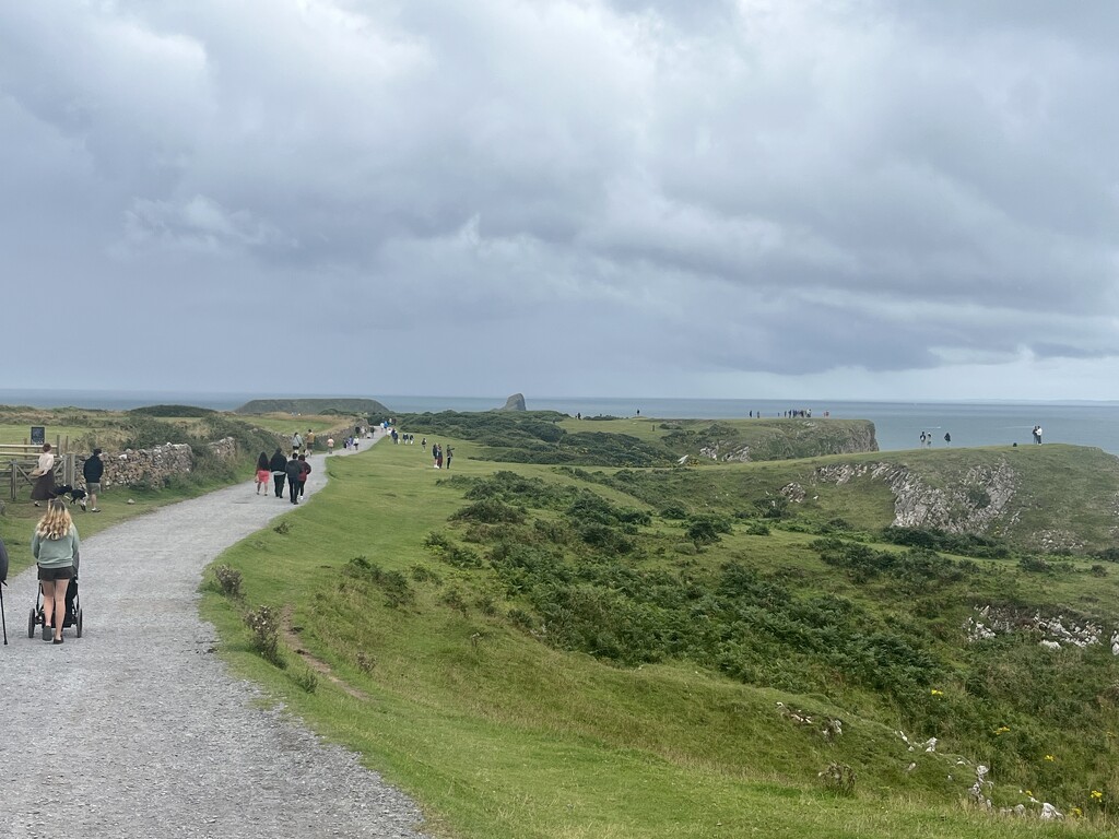 Rush Hour at Worms Head by elainepenney