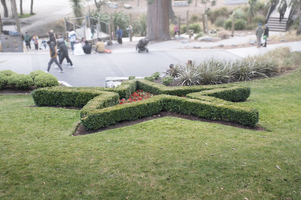 Knot garden by dkbarnett