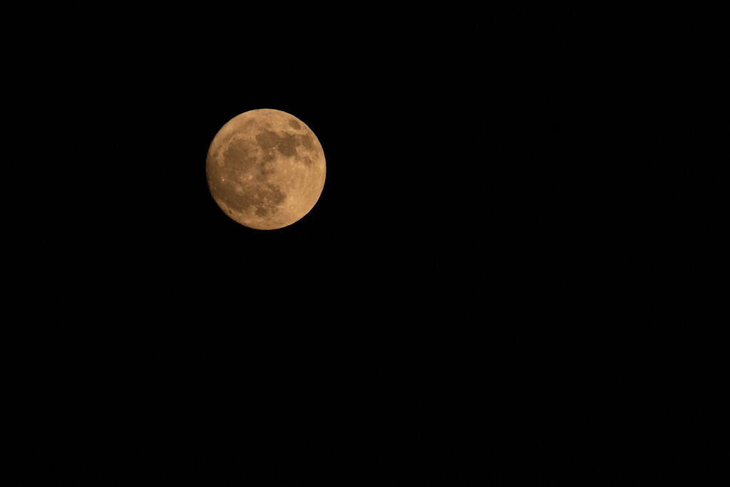 What a beautiful moon on the last night of Baseball by mistyhammond