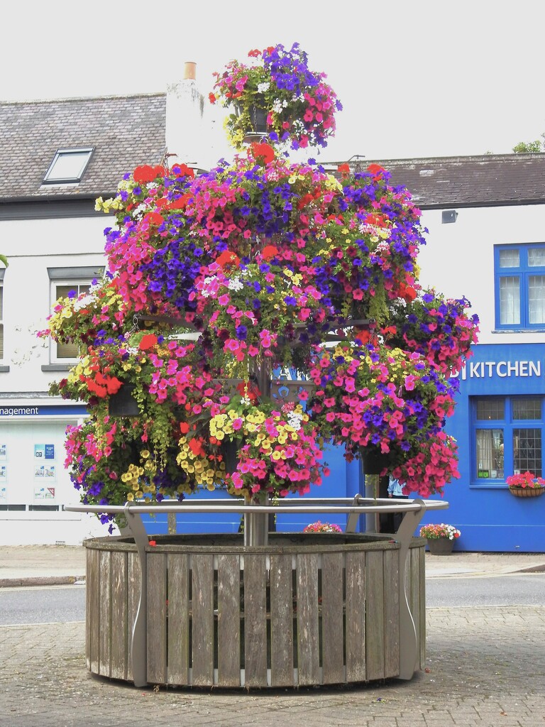 Hanging Basket Tree by oldjosh