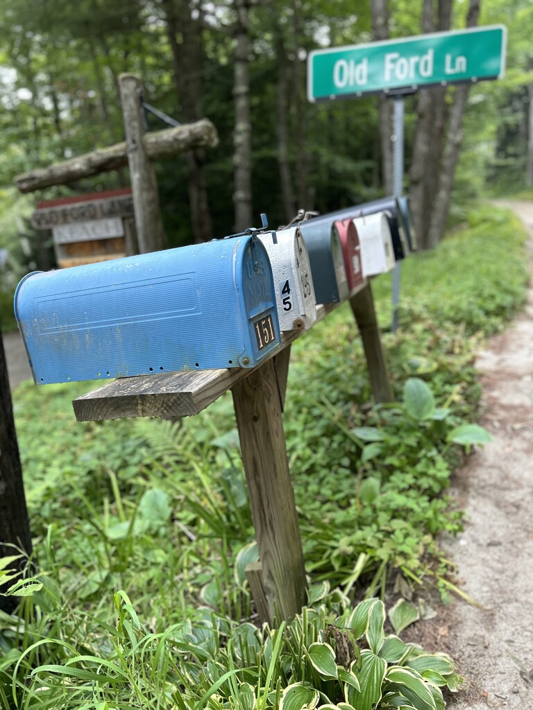 rural mailboxes, Lake Willoughby, Vermont  by swagman