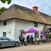 The Kings Head by carole_sandford