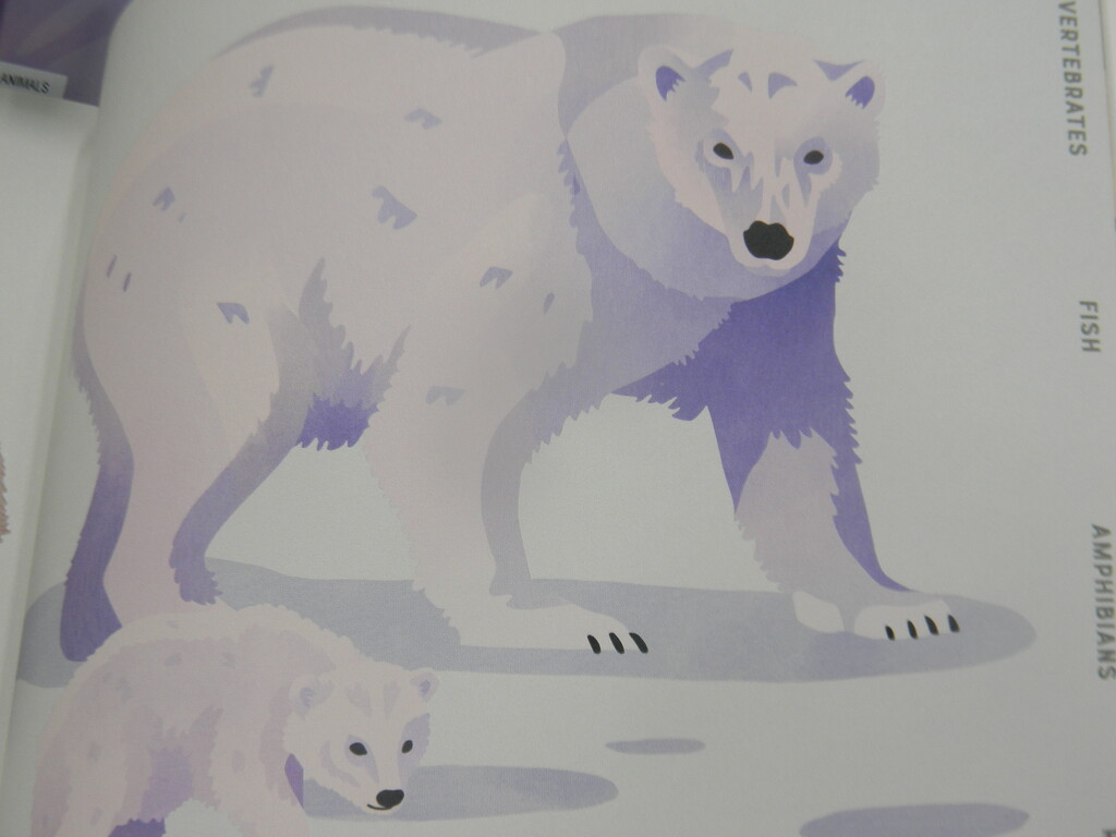 Polar Bear and Cub in Book by sfeldphotos