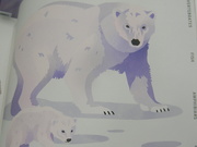 18th Aug 2024 - Polar Bear and Cub in Book