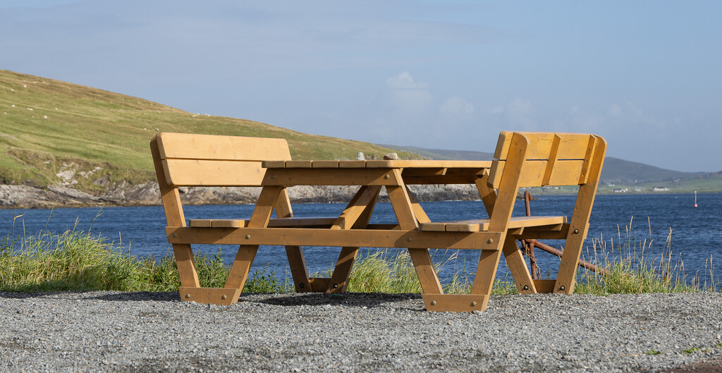 Picnic Table by lifeat60degrees