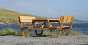 18th Aug 2024 - Picnic Table