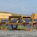 Picnic Table by lifeat60degrees