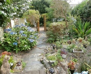 18th Aug 2024 - Down the garden path......