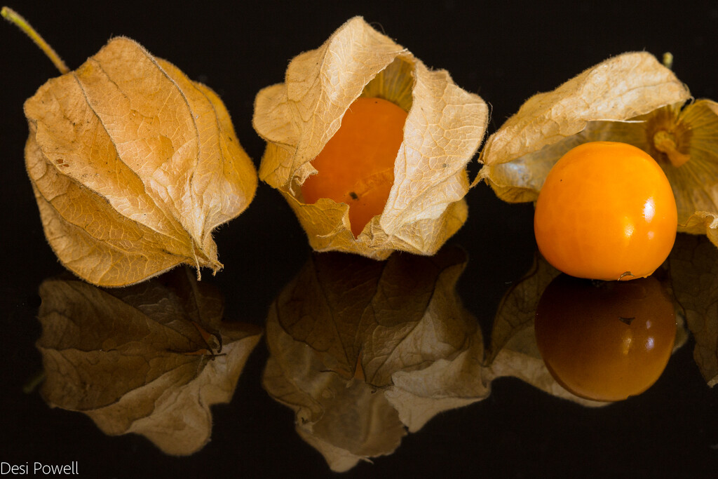 Gooseberries by seacreature