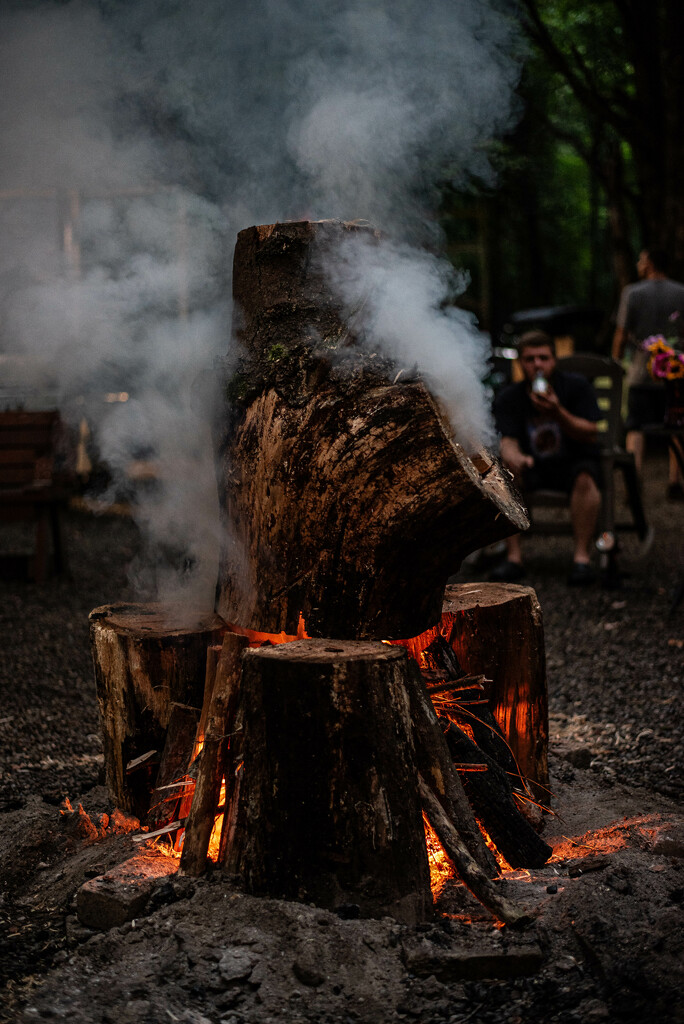 Chimney Log by darchibald