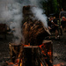 Chimney Log by darchibald