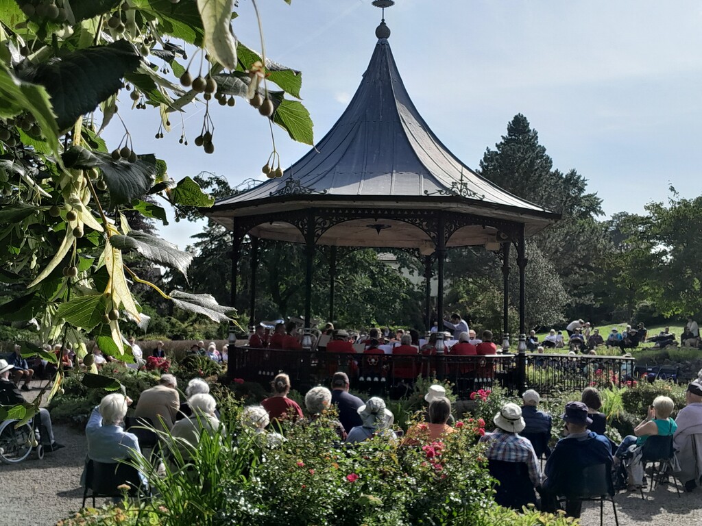 brass band concert by anniesue