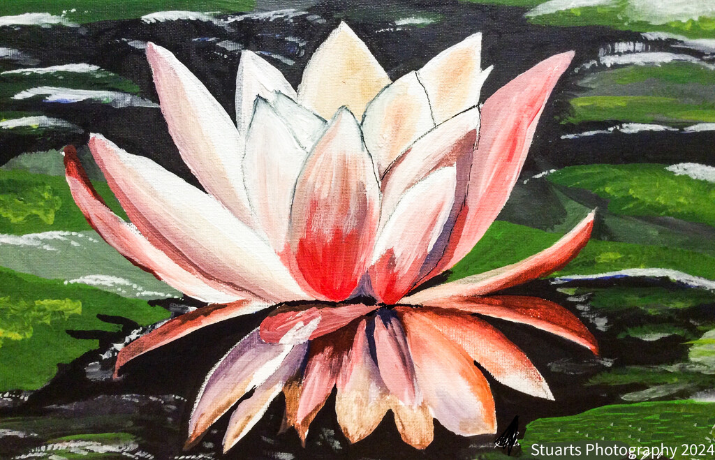 Water lily (painting) by stuart46