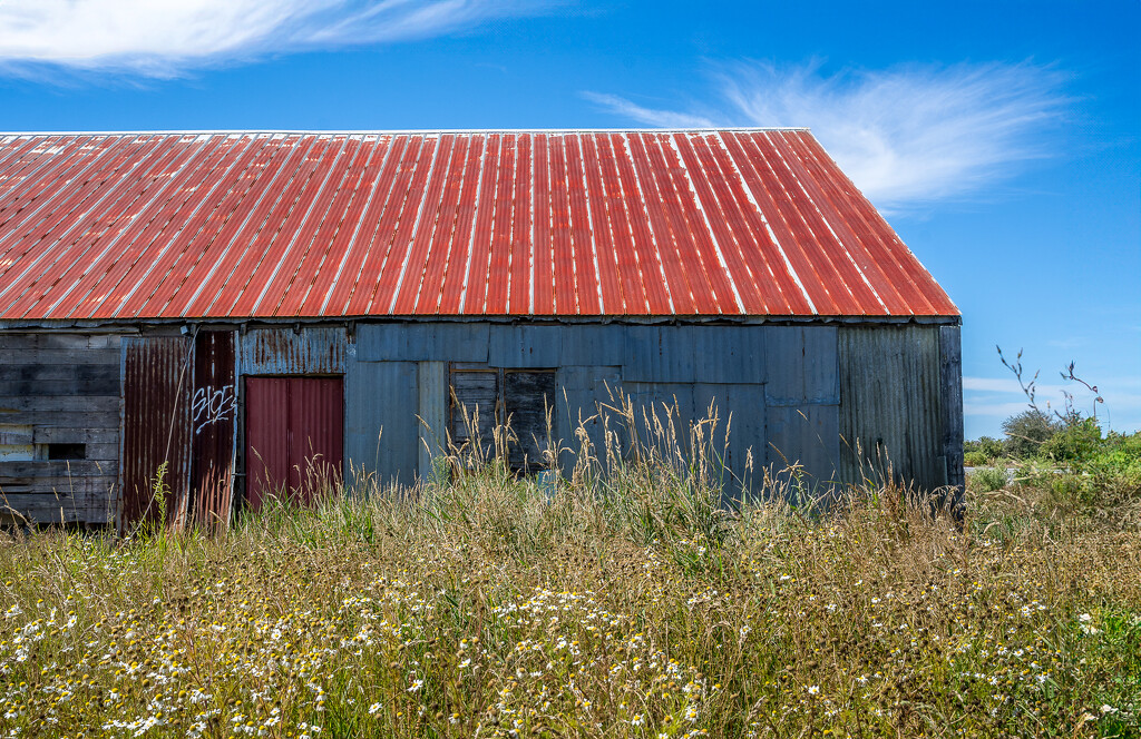 Red Roof by cdcook48