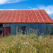 Red Roof by cdcook48