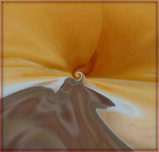 15th Aug 2024 - Abstract Swirl